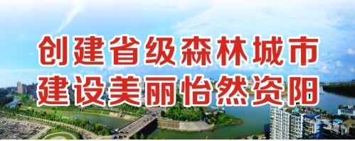 成人AT免费看创建省级森林城市 建设美丽怡然资阳